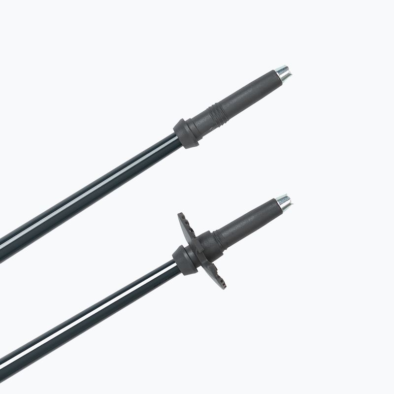 Slidinėjimo lazdos Fischer RC4 Noize grey / blue 5