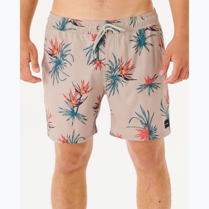 Rip Curl vyriški šortai Paradiso Volley 5067 beige 03DMBO 4