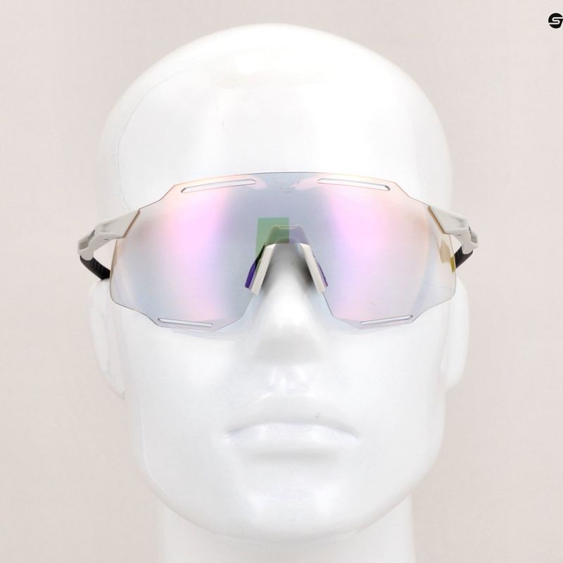 Akiniai nuo saulės DYNAFIT Alpine Evo nimbus/black out 7