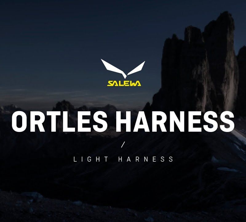 Salewa Ortles Laipiojimo petnešos geltonos spalvos 00-0000001751 7