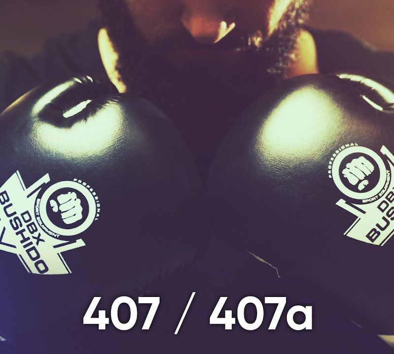 Bokso pirštinės DBX BUSHIDO ARB-407 juodos/baltos 23