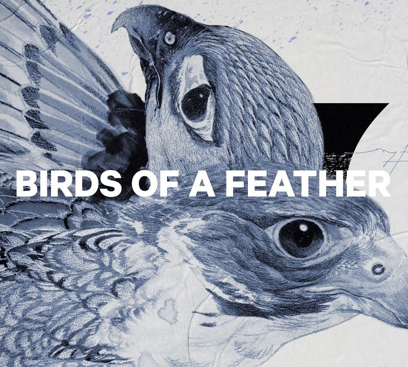 Moteriškos snieglentės CAPiTA Birds Of A Feather 1221107 12