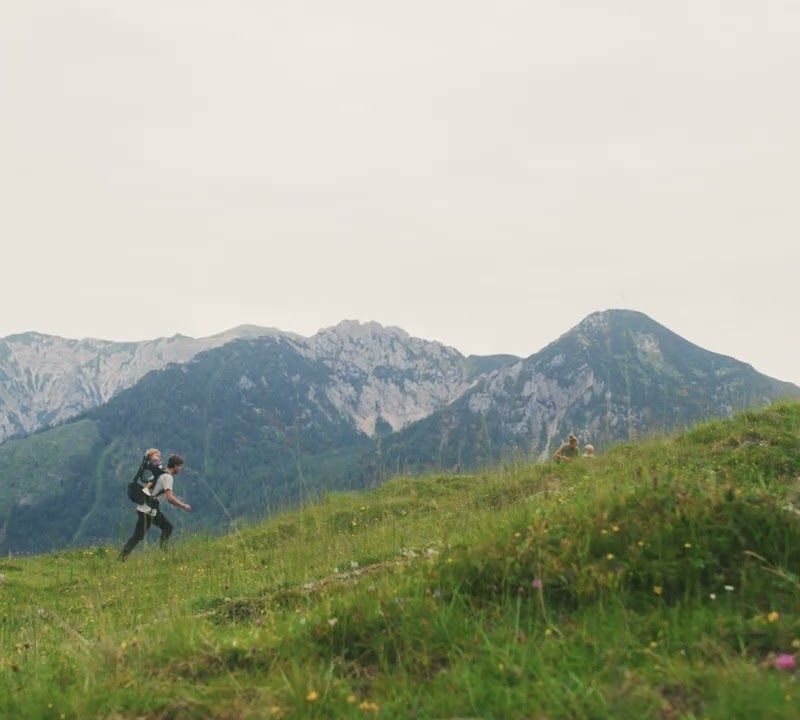 Thule Sapling vaikų vežimėlis, žalias 3204539 10