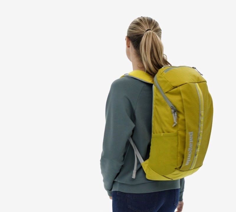 Turistinė kuprinė Patagonia Black Hole Pack 25 l shrub green 7