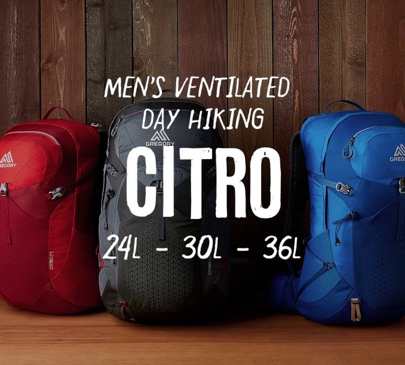 Gregory Citro 30 l vyriška turistinė kuprinė blue 141309 8