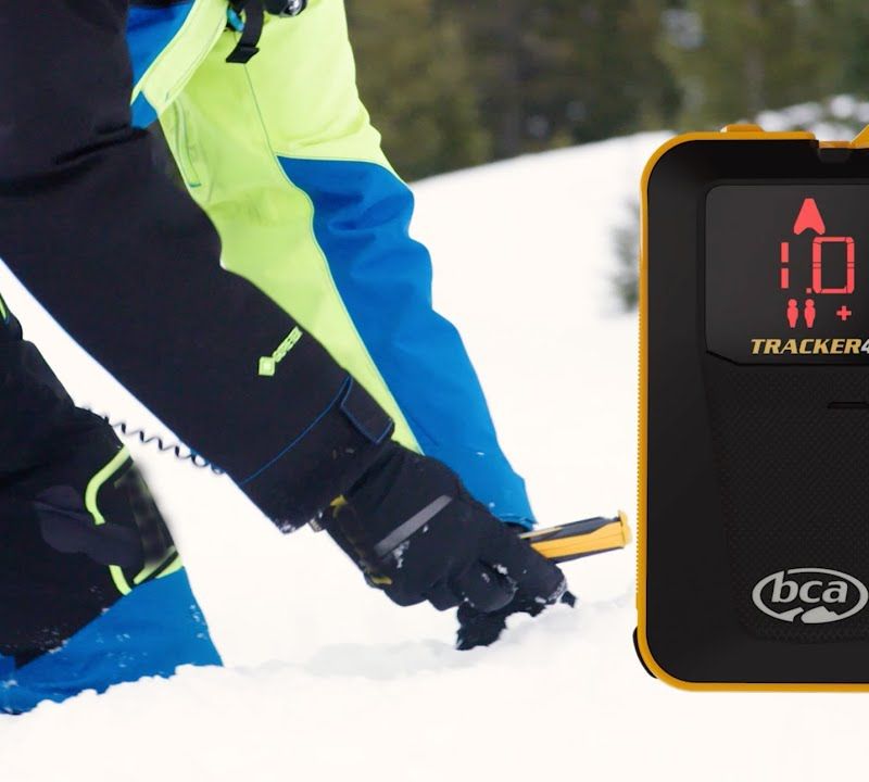 Alvinos detektorius BCA Tracker 4 black 5