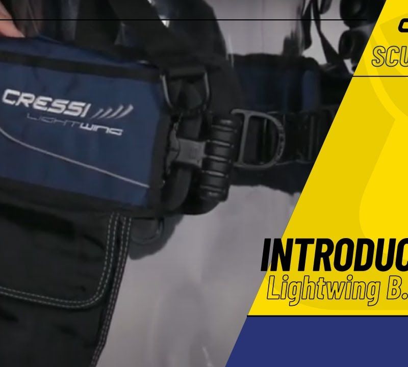 Cressi Lightwing nardymo striukė mėlyna IC773001 11