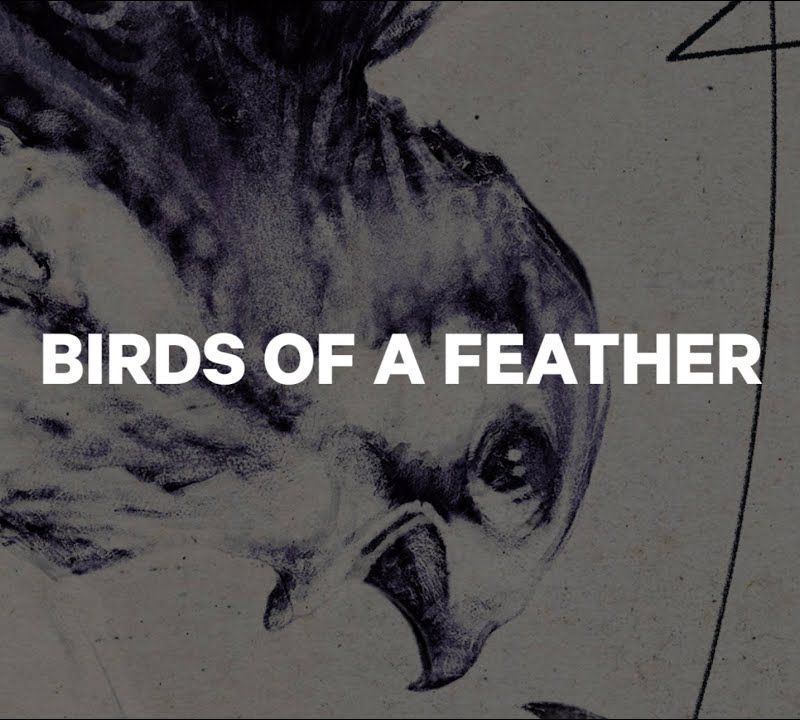 Moteriškos snieglentės CAPiTA Birds Of A Feather white 1211119 13