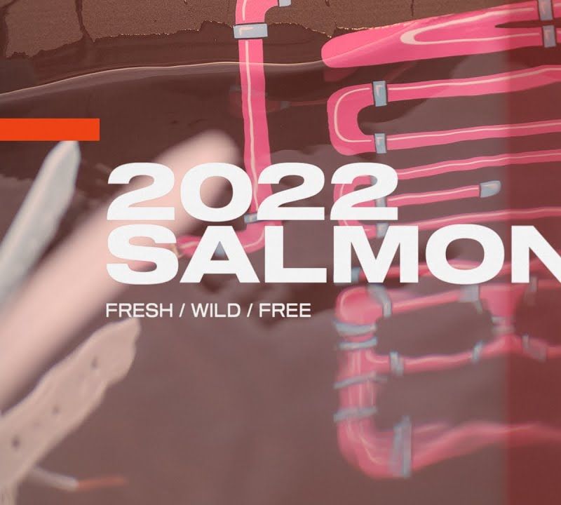 Slingshot Salmon rožinė wakeboard 9