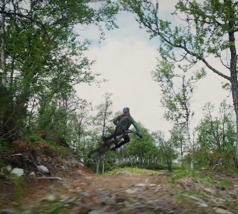 Ant kablio tvirtinama dviračių bagažinė Thule Easyfold XT 3Bike, juoda/aliuminis 16