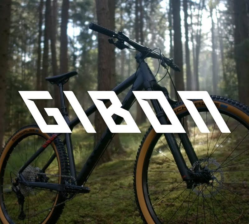 Kellys Gibon 10 29" kalnų dviratis mėlynas 16