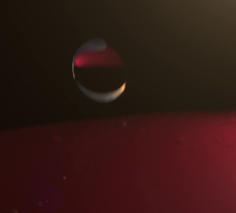 Vyriška Helly Hansen Crew pusvilnonė striukė su gobtuvu White 33874_001 10