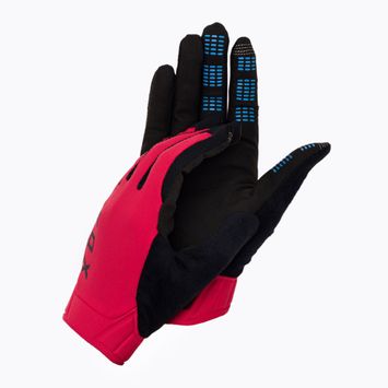 Fox Racing Flexair Ascent vyriškos dviratininkų pirštinės raudonos spalvos 28907_110