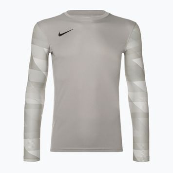 Vyriški vartininko marškinėliai Nike Dri-FIT Park IV Goalkeeper pewter grey/white/black