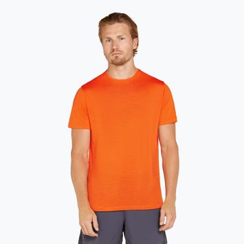 Vyriški žygio marškinėliai icebreaker Merino 125 Cool-Lite Sphere III SS Tee blaze