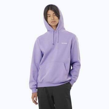 Vyriškas džemperis Salomon Logo Hoodie violet tulip