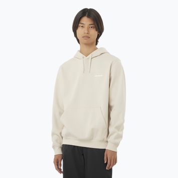 Vyriškas džemperis Salomon Logo Hoodie rainy day