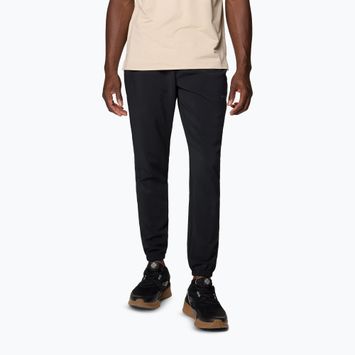 Vyriškos žygio kelnės Columbia Hike Jogger II black