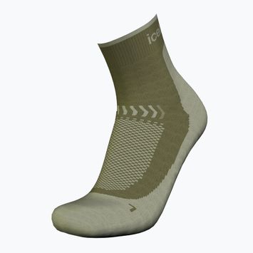 Vyriškos žygio kojinės Icebreaker Merino Hike+ Light Mini loden/lichen