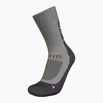 Moteriškos žygio kojinės icebreaker Merino Hike+ Light Crew Fresh Fern alloy/obsidian/snow
