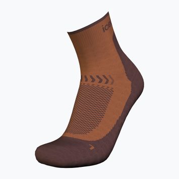 Moteriškos žygio kojinės icebreaker Merino Hike+ Light Mini dusty clay/carob