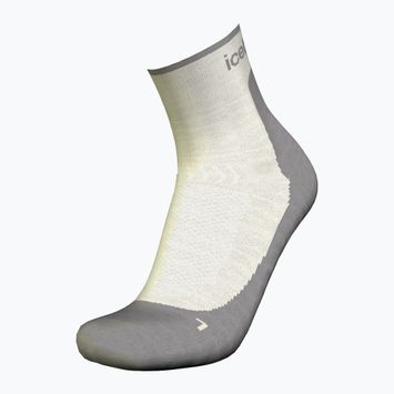 Moteriškos žygio kojinės icebreaker Merino Hike+ Light Mini ecru hthr/alloy