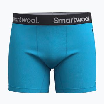 Vyriškos termoaktyvios trumpikės Smartwool Merino Boxer Brief pool blue