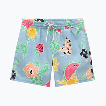 Vyriški šortai Vans Primary Print Elastic Boardshort