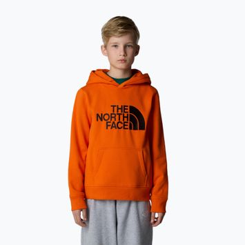 Vaikiškas džemperis The North Face Drew Peak P/O Hoodie orange