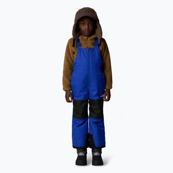 Vaikiškos slidinėjimo kelnės The North Face Kid Freedom Insulated Bib blue