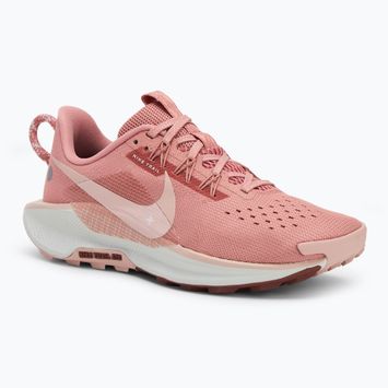 Moteriški bėgimo batai Nike Pegasus Trail 5 red stardust/ red sepia/ photon dust/ pink oxford