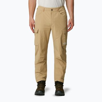 Vyriškos žygio kelnės The North Face Exploration Cargo khaki stone
