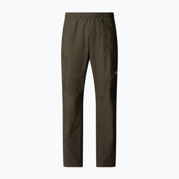 Vyriškos kelnės The North Face Limestone new taupe green