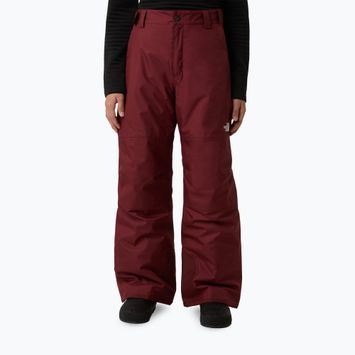 Vaikiškos slidinėjimo kelnės The North Face Freedom Insulated sumac