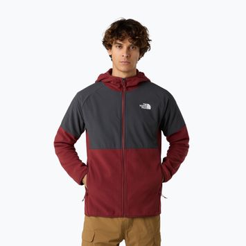 Vyriškas džemperis The North Face Glacier Heavyweight Full Zip HD sumac/asphalt grey