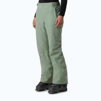 Moteriškos slidinėjimo kelnės The North Face Descendit Regular slate moss