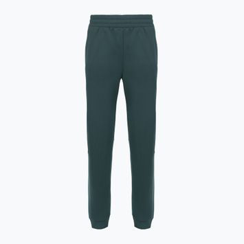 Moteriškos kelnės The North Face Mountain Athletics Fleece deep cypress/space