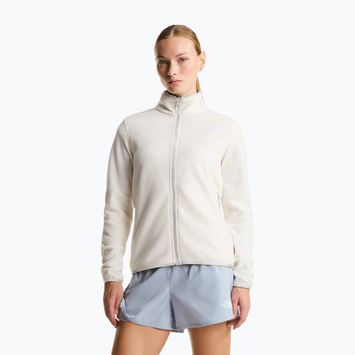 Moteriškas fliso džemperis The North Face Glacier Fleece white dune