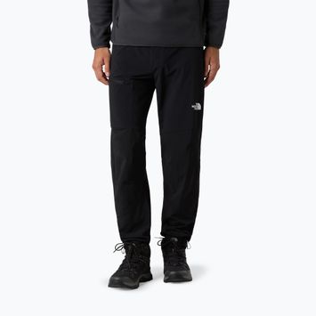 Vyriškos softshell kelnės The North Face Speedlight Regular black