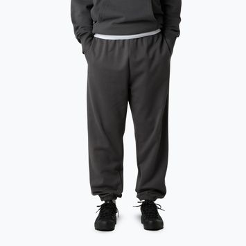 Vyriškos kelnės The North Face Expedition Celebration Relaxed Jogger Reg anthracite grey