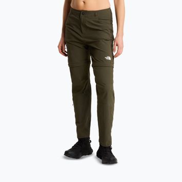 Moteriškos žygio kelnės The North Face Exploration Regular Straight Convertible taupe green
