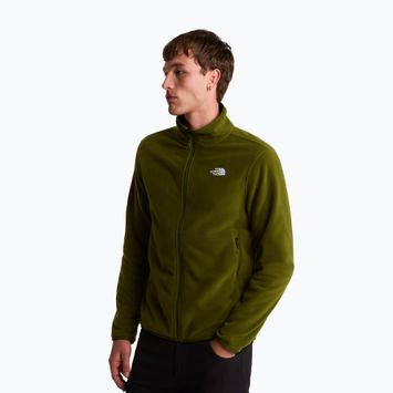 Vyriškas džemperis The North Face Glacier Fleece