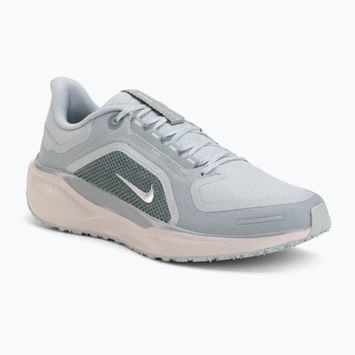 Vyriški bėgimo batai Nike Pegasus 41 GTX light pumice/pure platinum/silt red/metal silver