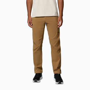 Vyriškos žygio kelnės Columbia Cosmiques Pro Nylon delta