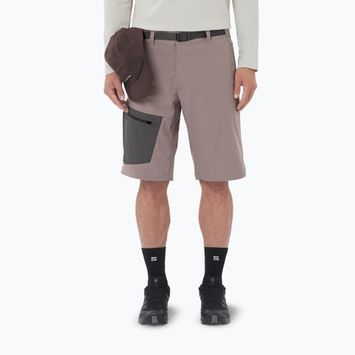 Vyriški žygio šortai Salomon Outerpath Utility iron