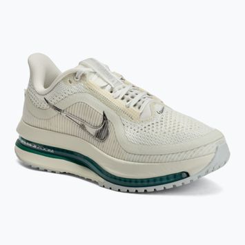 Moteriški bėgimo batai Nike Pegasus Premium sea glass/malachite/metallic silver