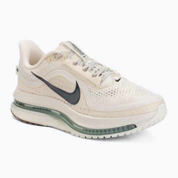 Vyriški bėgimo batai Nike Pegasus Premium Pale ivory/jade horizon/black spruce