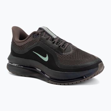 Vyriški bėgimo batai Nike Pegasus Premium ironstone/dark smoke grey/quartz patina