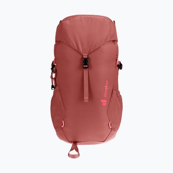 Vaikiška turistinė kuprinė deuter Climber 22 l redwood/hibiscus