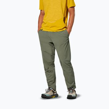 Vyriškos žygio kelnės Salewa Pedroc 3 DST Light faded green